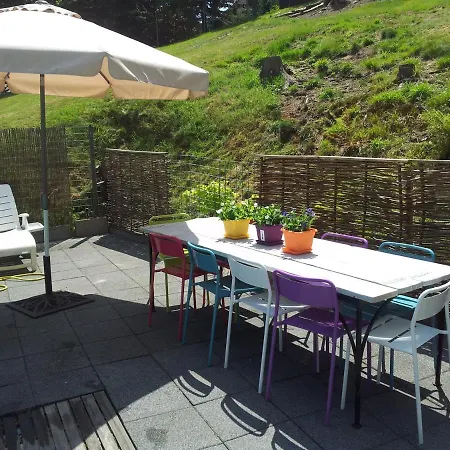 Orchidee Altenau Bed and breakfast Altenau (Lower-Saxony)