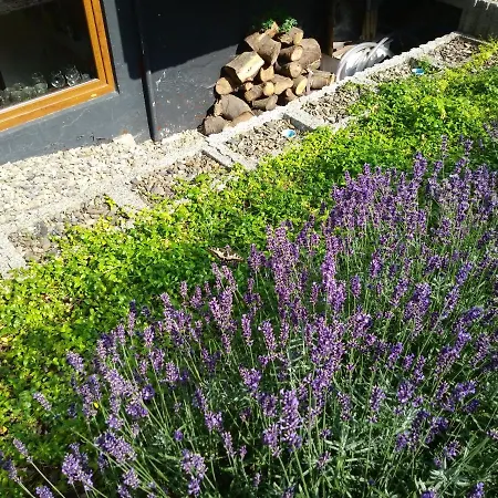 Orchidee Altenau Bed and breakfast
