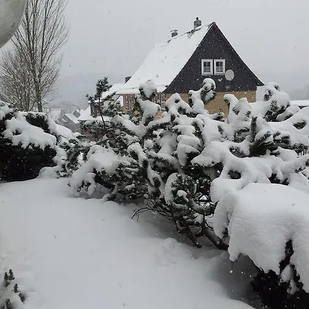 Orchidee Altenau Bed and breakfast Altenau (Lower-Saxony)