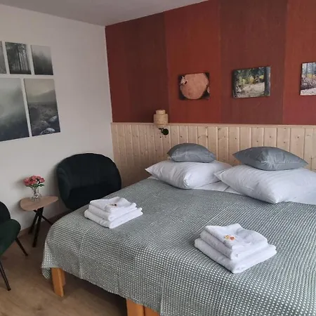 Orchidee 3* Altenau (Lower-Saxony)