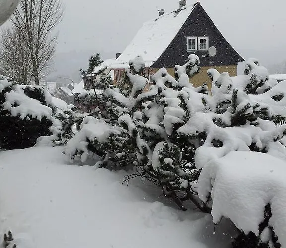 Orchidee Bed & Breakfast Altenau (Lower-Saxony)