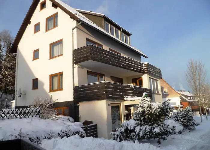 Orchidee 3* Altenau (Lower-Saxony)