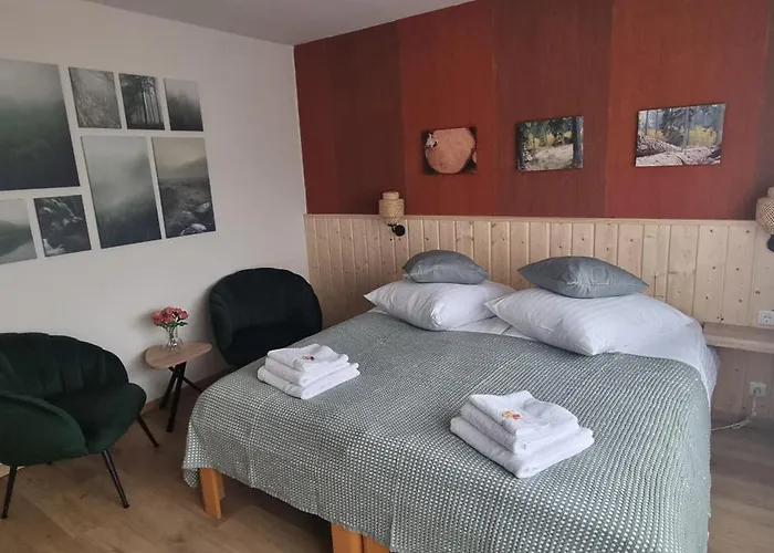 Orchidee 3* Altenau (Lower-Saxony)