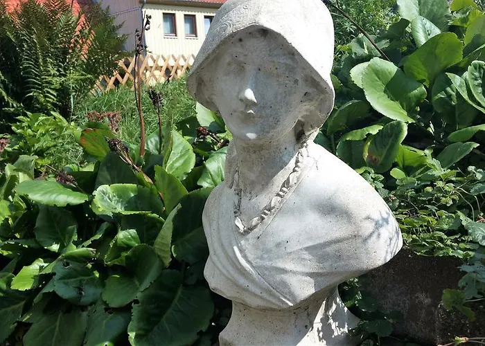 Orchidee Bed & Breakfast Altenau (Lower-Saxony)