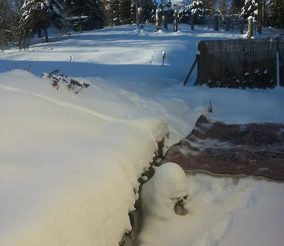 Bed & Breakfast Orchidee